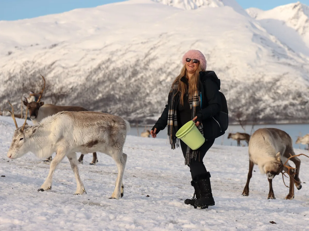 A visitor feeding a reindeer by hand in a snow-covered valley near Tromso, with fjord mountains behind